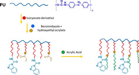  Ketoconazoles:  High-Performance Antifungal Polymers for Mold Inhibition?